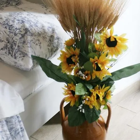 بيت ضيافة Saint Nicholas Plaza