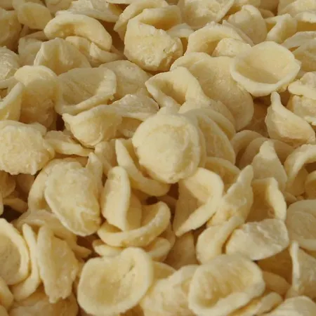 Gasthuis Saint Nicholas Plaza 3*