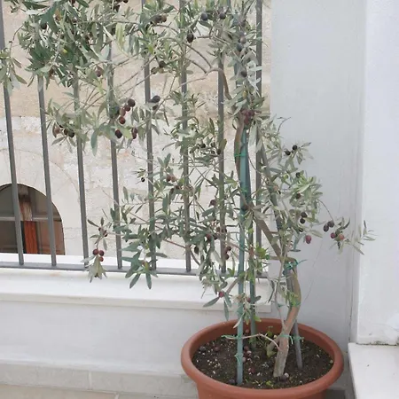 Saint Nicholas Plaza Gasthuis 3*