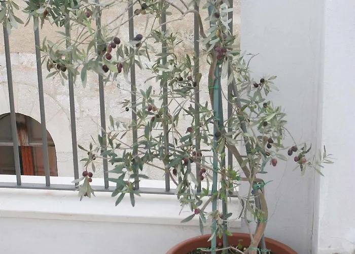 Saint Nicholas Plaza 게스트하우스 3*