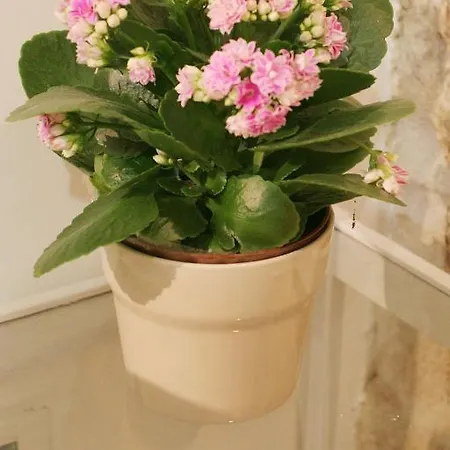 Saint Nicholas Plaza Gasthof 3*